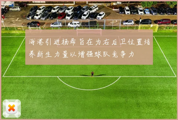 海港引进杨希旨在为右后卫位置培养新生力量以增强球队竞争力